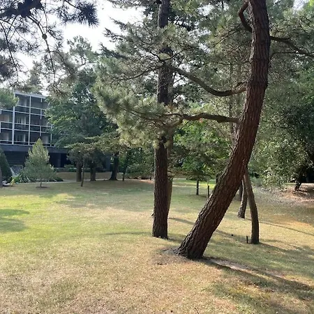 Vue : La Canopee A *