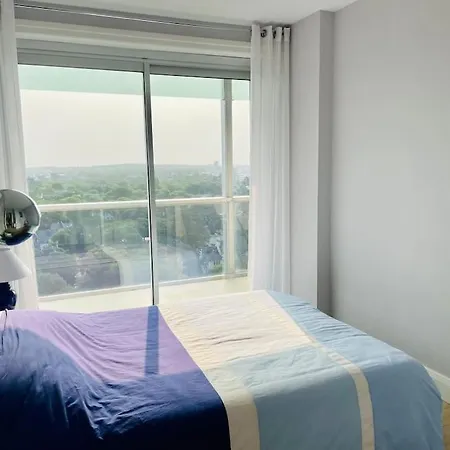 Vue : La Canopee A Daire *
