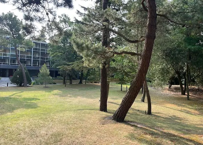 Vue : La Canopee A *